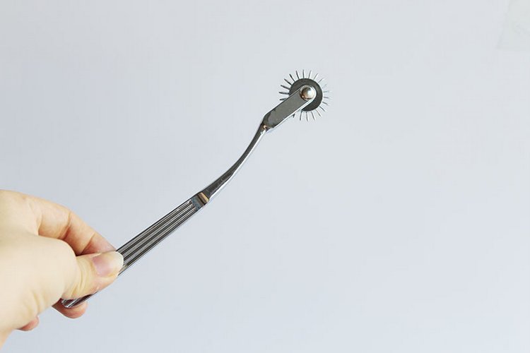 ây cọ lăn gai Lehard thép không gỉ – Đồ chơi SM kích thích da cảm giác mạnh