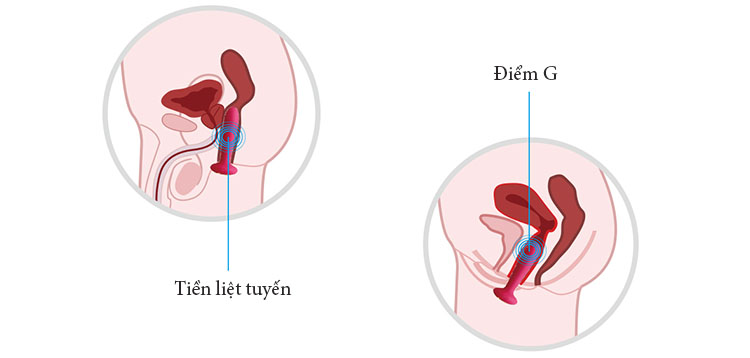 Máy rung Svakom Primo silicone mềm – dùng cho cả nam và nữ.