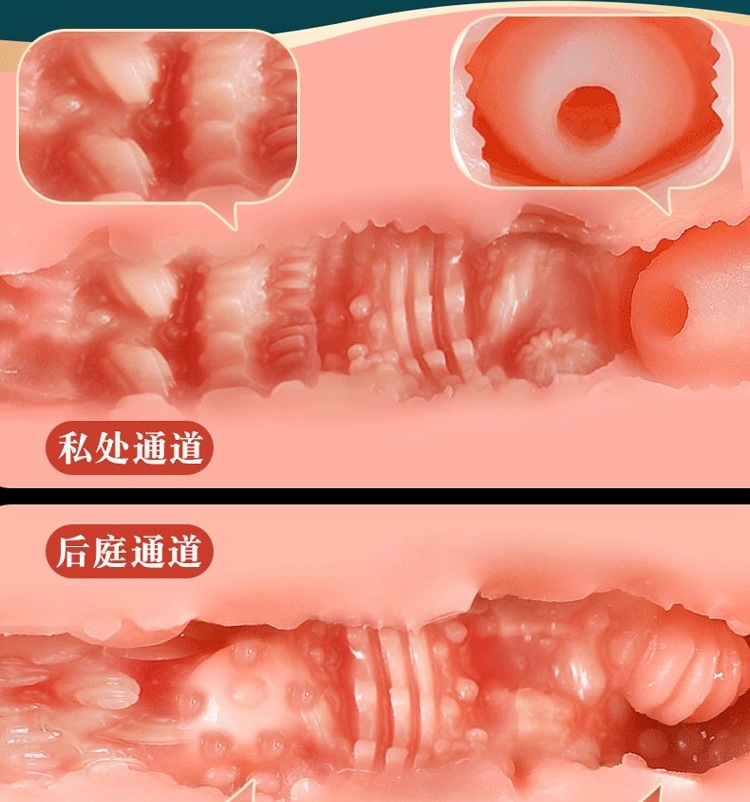 cấu tr&uacute;c b&ecirc;n trong &acirc;m đạo giả nhiều g&acirc;n gai k&iacute;ch th&iacute;ch